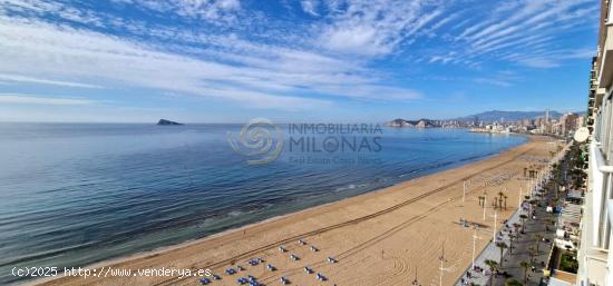 ALQUILER ANUAL EN 1ª LINEA DE PLAYA LEVANTE (BENIDORM). - ALICANTE