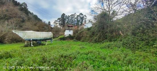 FINCA URBANA EN RIOCORVO.- - CANTABRIA