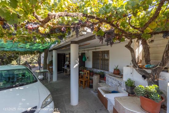 FINCA RÚSTICA CON CASA DE APEROS EN --GUEJAR SIERRA-GRANADA - GRANADA