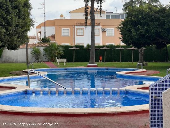  ADOSADO CON SOLARIUM Y PISCINA COMUNITARIA EN LA TORRETA-SIESTA, TORREVIEJA - ALICANTE 