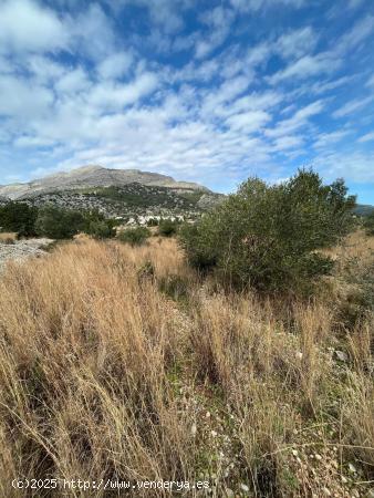 Se vende terreno rústico en Tormos - ALICANTE