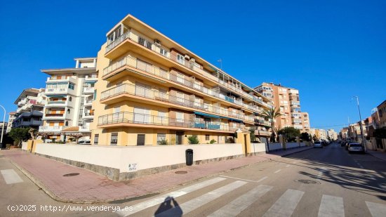 Apartamento en venta en Torrevieja (Alicante)