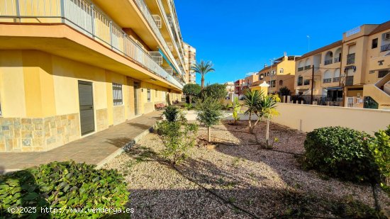 Apartamento en venta en Torrevieja (Alicante)