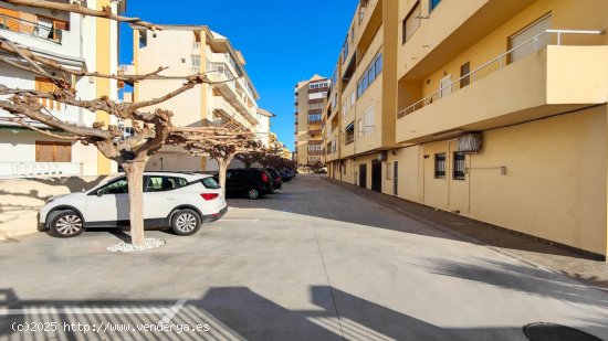 Apartamento en venta en Torrevieja (Alicante)