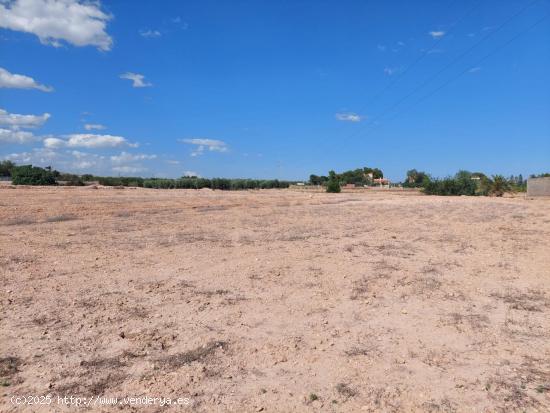 Terreno en Partida Deula - ALICANTE