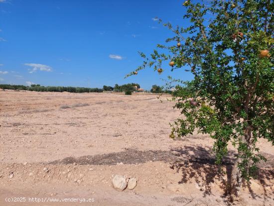 Terreno en Partida Deula - ALICANTE