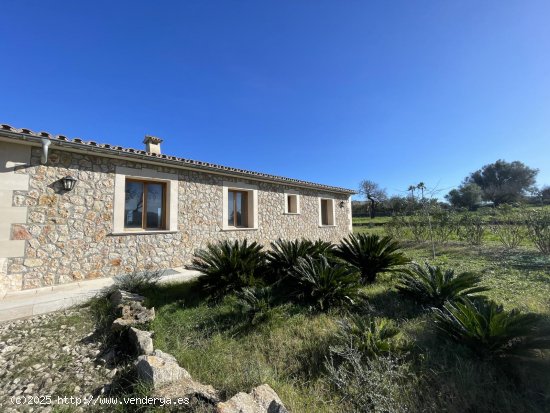  Villa en alquiler en Alcúdia (Baleares) 