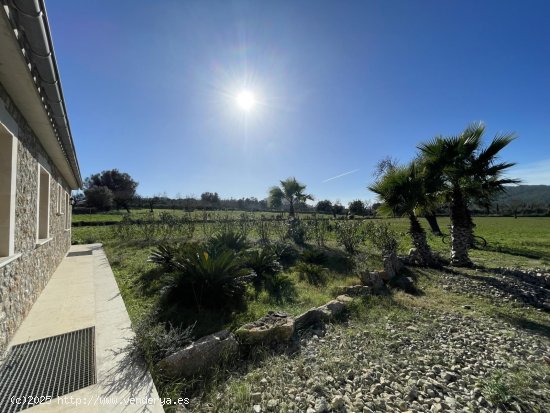 Villa en alquiler en Alcúdia (Baleares)