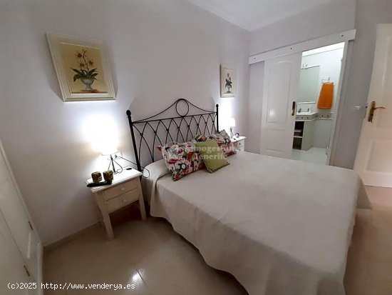  Apartamento en alquiler en Arona (Tenerife) 