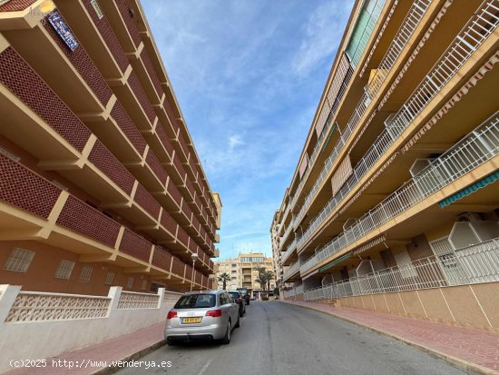 Estudio en venta en Guardamar del Segura (Alicante)