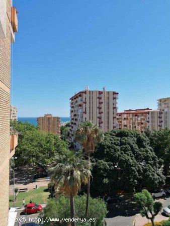 Estudio en alquiler en Benalmádena (Málaga)