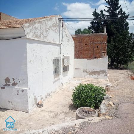 Espectacular vivienda en plena huerta de Patiño - MURCIA