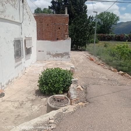 Espectacular vivienda en plena huerta de Patiño - MURCIA