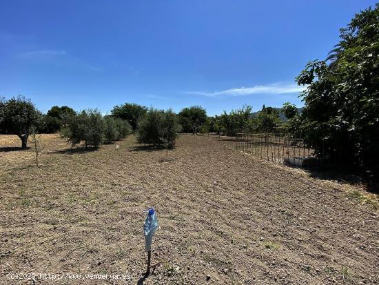 Oportunidad Única en la Huerta de Murcia! Finca con Terreno Rústico y Vivienda en Patiño - MURCIA