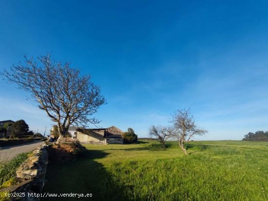  PARCELAS URBANIZABLES EN TAPIA DE CASARIEGO - ASTURIAS 