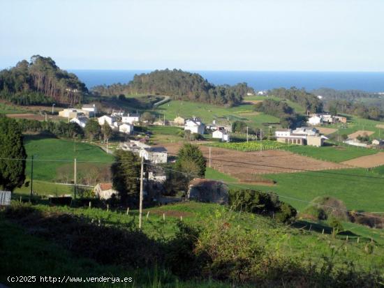 PARCELAS URBANIZABLES AL LADO DE TAPIA DE CASARIEGO - ASTURIAS