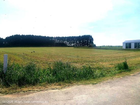  PARCELA EN LA ZONA DE CAMPOS, TAPIA DE CASARIEGO - ASTURIAS 