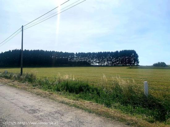 PARCELA EN LA ZONA DE CAMPOS, TAPIA DE CASARIEGO - ASTURIAS