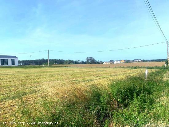 PARCELA EN LA ZONA DE CAMPOS, TAPIA DE CASARIEGO - ASTURIAS