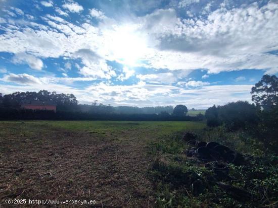 PARCELA EN TAPIA DE CASARIEGO - ASTURIAS