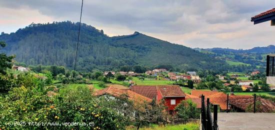  PRECIOSA FINCA CON VISTAS AL VALLE EN CACES (LAS CALDAS) - ASTURIAS 