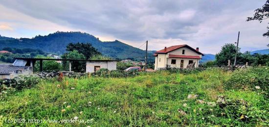 PRECIOSA FINCA CON VISTAS AL VALLE EN CACES (LAS CALDAS) - ASTURIAS