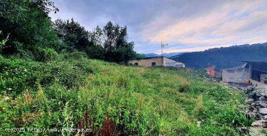 PRECIOSA FINCA CON VISTAS AL VALLE EN CACES (LAS CALDAS) - ASTURIAS