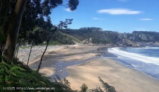 TERRENO CON VISTAS AL MAR EN SABUGO (OTUR) - ASTURIAS