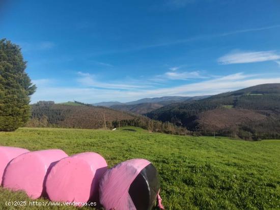  Finca edificable en Reiriz, Tapia de Casariego - ASTURIAS 