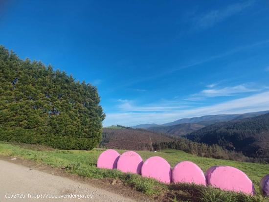 Finca edificable en Reiriz, Tapia de Casariego - ASTURIAS