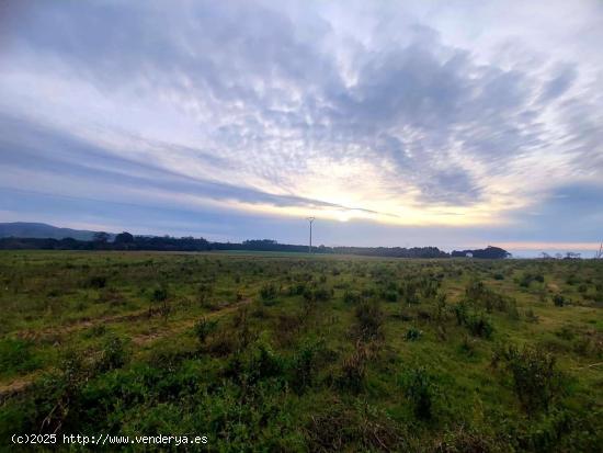  TERRENO URBANIZABLE EN SALAVE, TAPIA DE CASARIEGO - ASTURIAS 