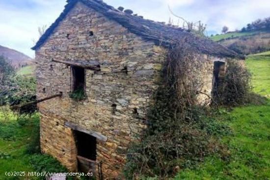 CASA RURAL AL LADO DEL PALACIO DE VIXANDE, VEGADEO - ASTURIAS