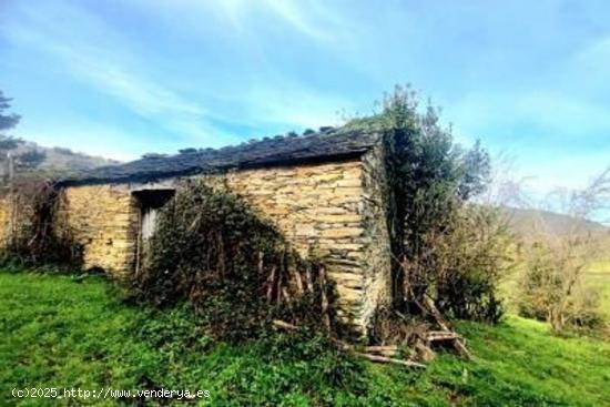 CASA RURAL AL LADO DEL PALACIO DE VIXANDE, VEGADEO - ASTURIAS