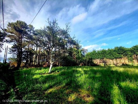  Terreno urbanizable en El Franco, Asturias - ASTURIAS 