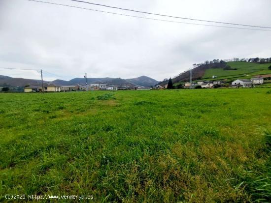 Gran parcela a 2.5km de Luarca - ASTURIAS