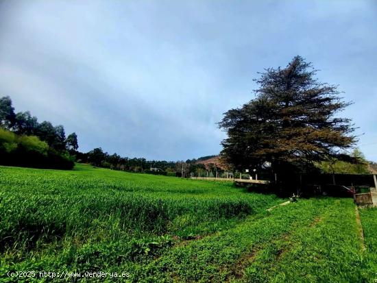 Parcela urbanizable en Otur, cerca de la playa - ASTURIAS