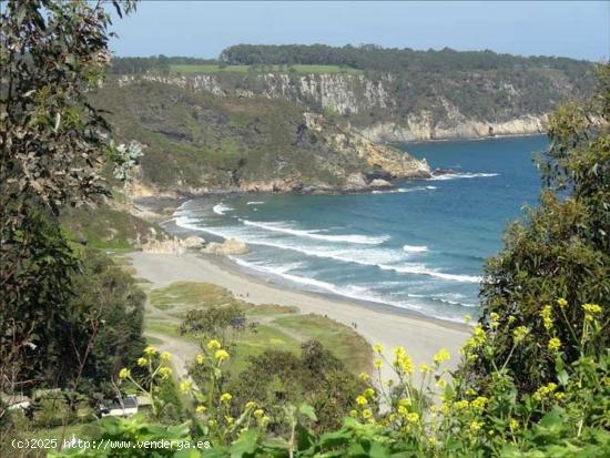 Parcela urbanizable en Otur, cerca de la playa - ASTURIAS