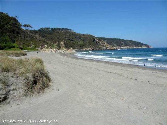 Gran parcela urbanizable en Otur cerca de la playa - ASTURIAS