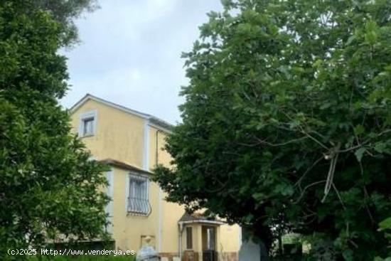 ¡Gran casa en Coaña con impresionante finca! ¡Ideal inversores! - ASTURIAS