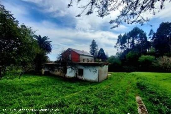 CASA INDEPENDIENTE EN OTUR CERCA DE LA PLAYA CON GRAN PARCELA - ASTURIAS