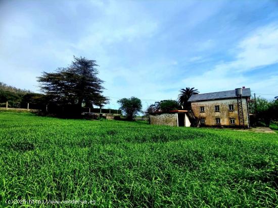 CASA INDEPENDIENTE EN OTUR CERCA DE LA PLAYA CON GRAN PARCELA - ASTURIAS