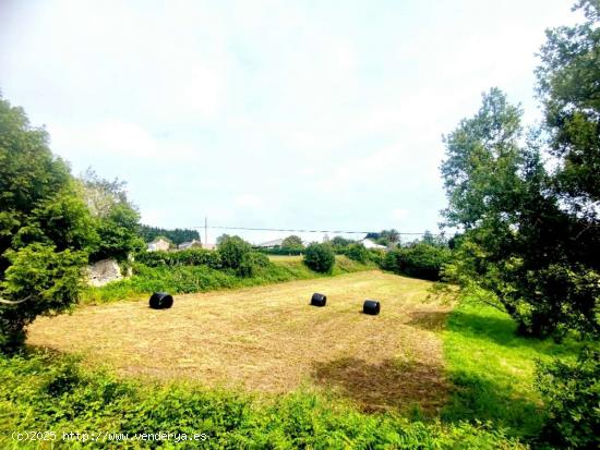 GRAN TERRENO URBANIZABLE EN SERANTES - ASTURIAS