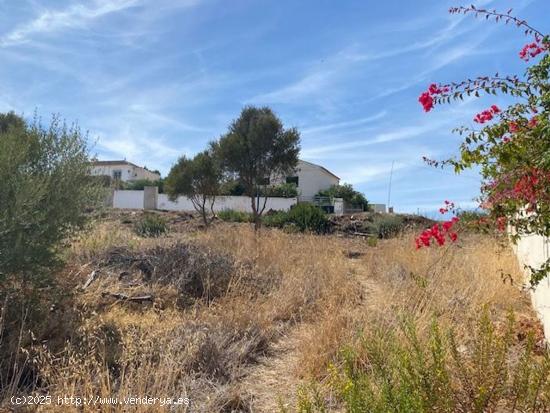 Parcela urbanizable en Valle Romano, Estepona - MALAGA