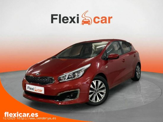 Kia Ceed 1.4 CVVT 74kW (100CV) Drive - Finestrat