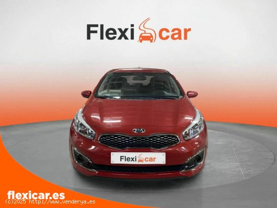 Kia Ceed 1.4 CVVT 74kW (100CV) Drive - Finestrat