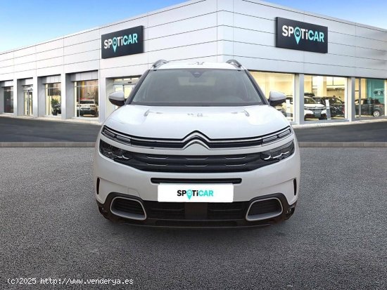 Citroën C5 Aircross  BlueHdi 96kW (130CV) S&S Feel - CANET D EN BERENGUER