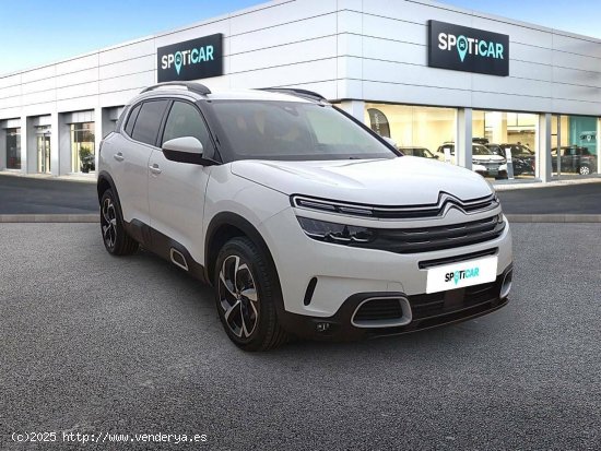 Citroën C5 Aircross  BlueHdi 96kW (130CV) S&S Feel - CANET D EN BERENGUER