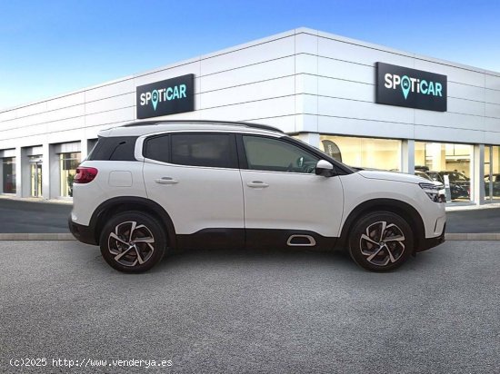 Citroën C5 Aircross  BlueHdi 96kW (130CV) S&S Feel - CANET D EN BERENGUER