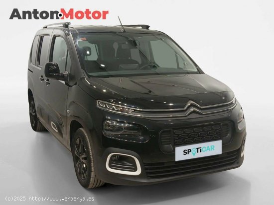 Citroën Berlingo  Talla M BlueHDi 100 S&S 100 AÑOS 100 Años - VITORIA