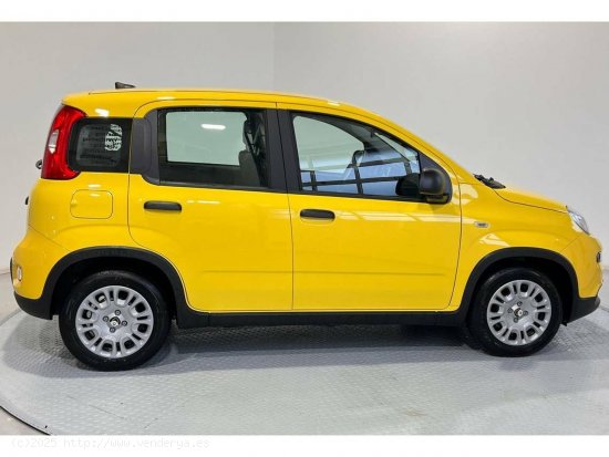 Fiat Panda Pandina 1.0 Hybrid 51kW (70cv) - Gijón